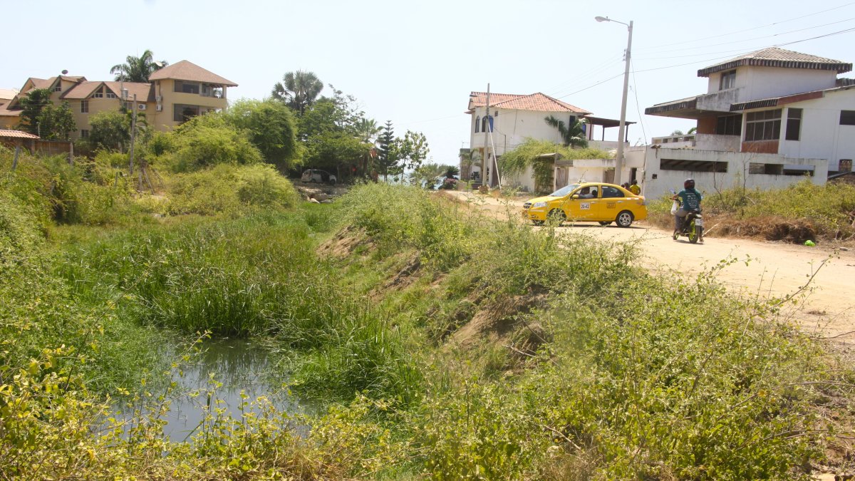 Costa de Oro. Los habitantes de esta zona residencial de Salinas vienen pidiendo al Municipio cortar la maleza hace al menos una década, pero nadie los escucha. Abundan los moscos en el sitio.