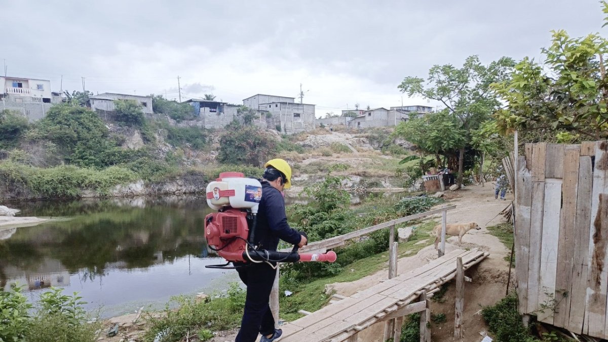 El MSP asegura que realiza fumigaciones en las zonas más afectadas de Santa Elena.