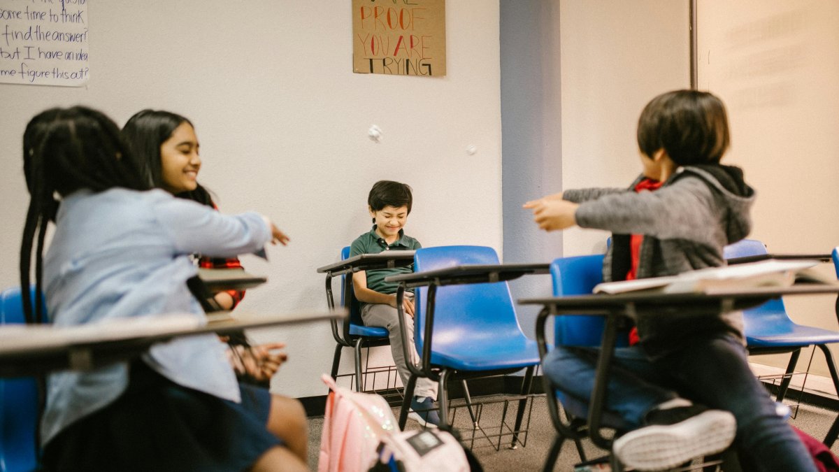 Bullying escolar: ¿cómo prevenirlo?