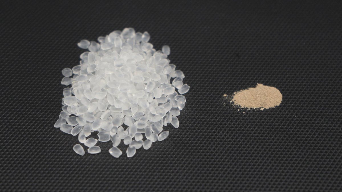Bolitas de poliuretano termoplástico (izquierda) y polvos de esporas (derecha) que se mezclan para fabricar el nuevo material de termoplástico biocompuesto degradable.