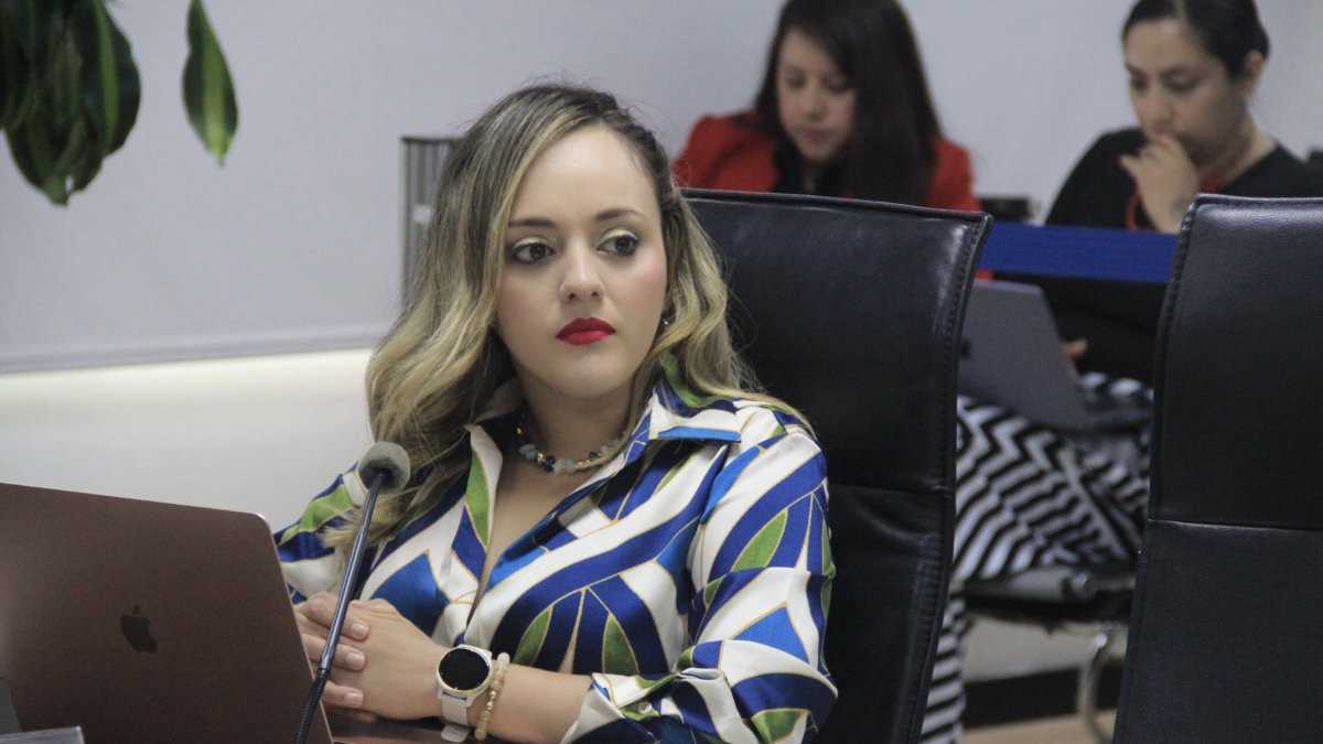 La conejera del Consejo de Participación Ciudadana, Johanna Verdezoto.