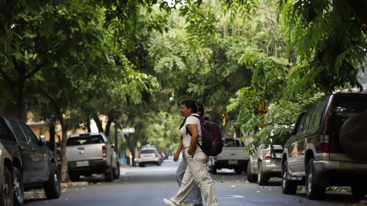 Barrio Orellana. Este es uno de los poquísimos barrios porteños donde hay especies, lo que facilita las caminatas y el encuentro entre familias.