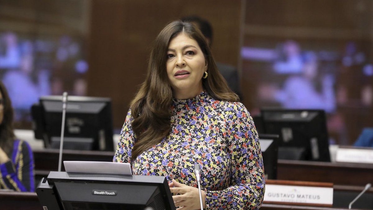 Solicitud. La legisladora de RC, Sofía Espín, propuso que Fiscalización investigue la crisis energética.