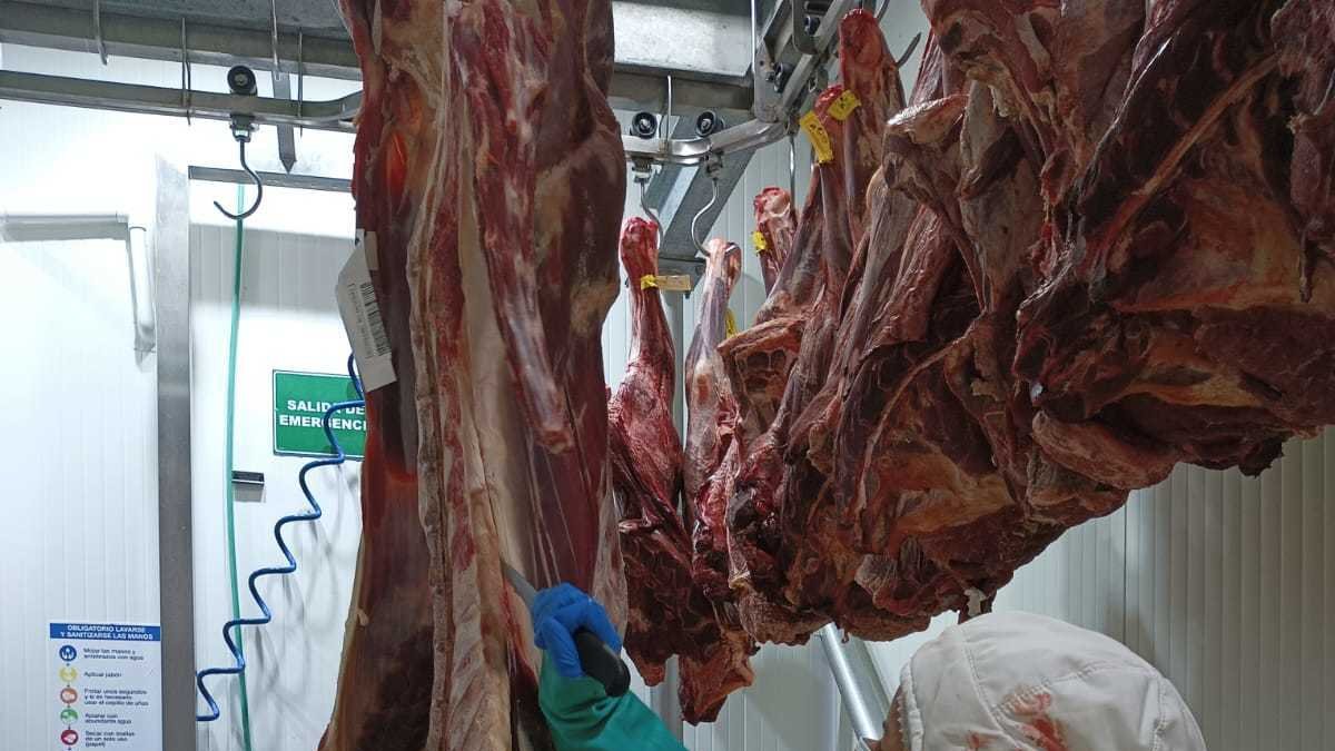 Labor. Daysi Burgos, de 31 años, hace el desposte de la carne en el Centro de Distribución de Tía.