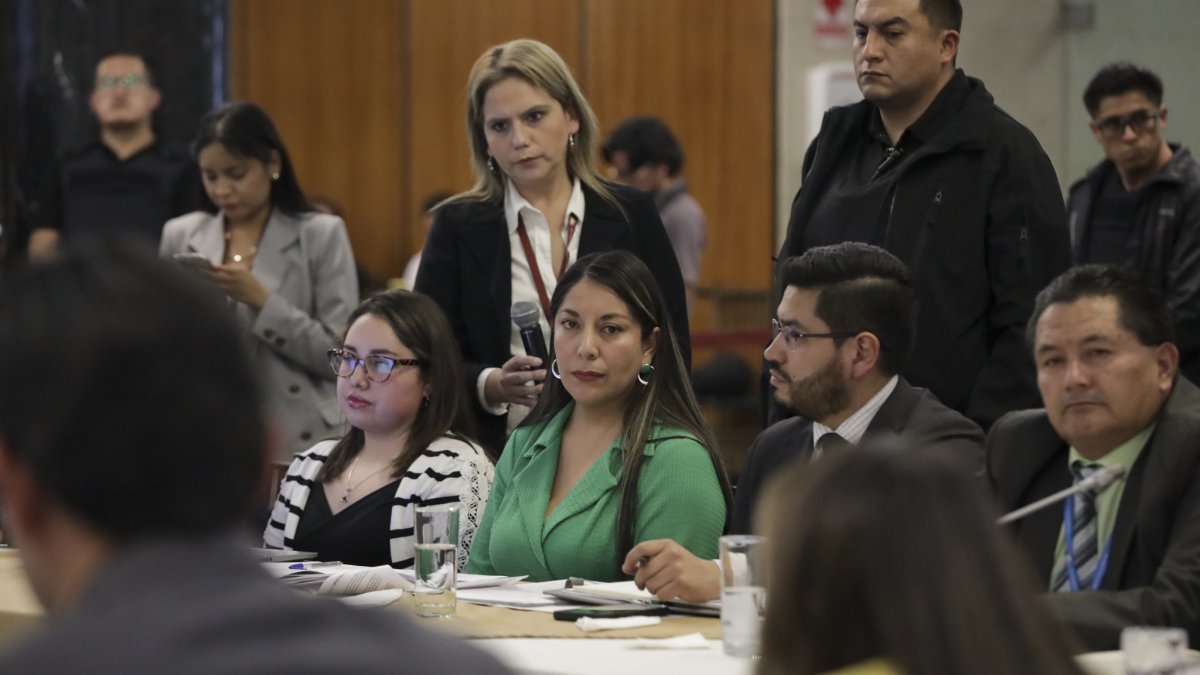 La fiscal Ana Hidalgo compareció el 1 de mayo de 2024 ante la mesa legislativa que investiga el asesinato del excandidato presidencial, Fernando Villavicencio.