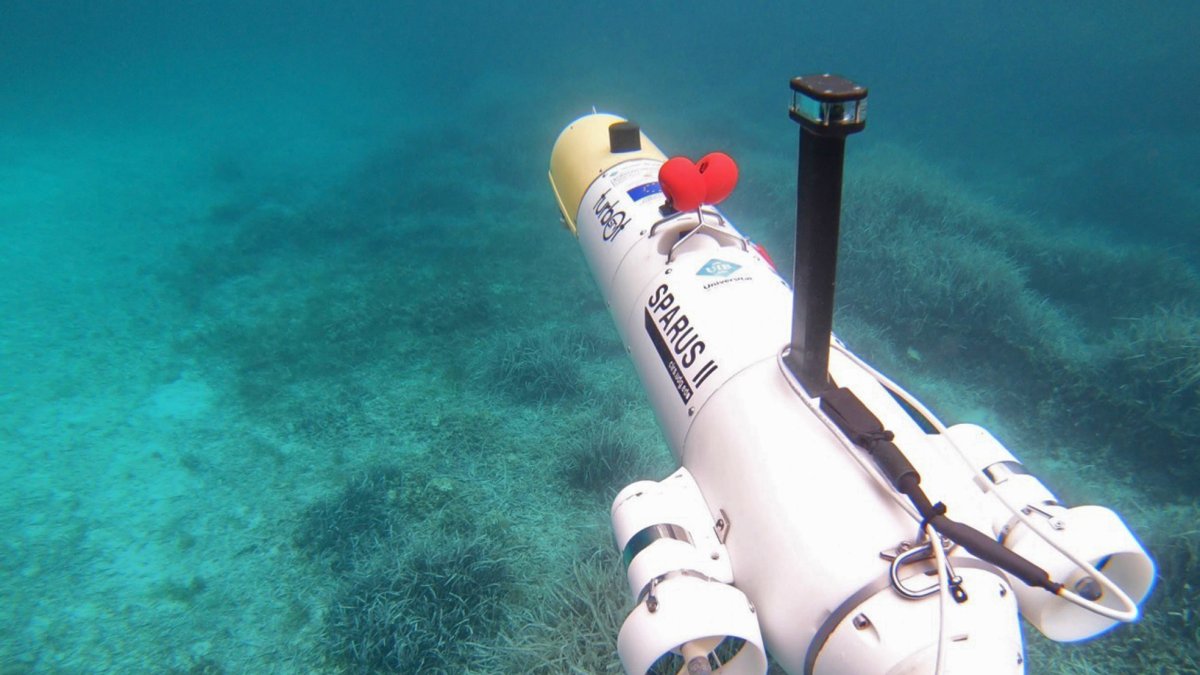 Investigación. Cámara en tiempo real del proyecto OBSEA, plataforma a 4 km de la costa de Vilanova y la Geltrú