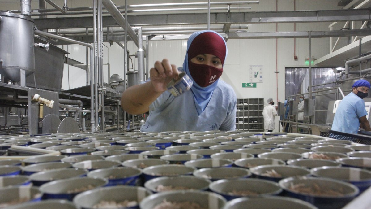 Nirsa ha presentado un portafolio de productos renovado para ingresar a nuevos nichos.