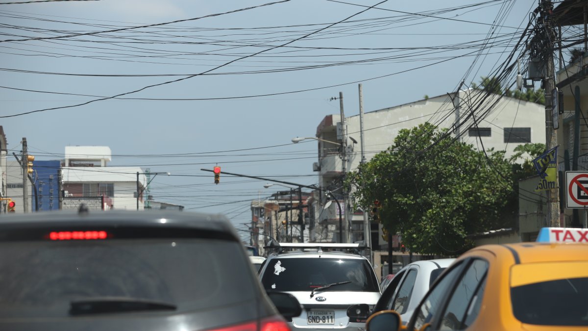 Los arboles se enredan con los cables del sector.