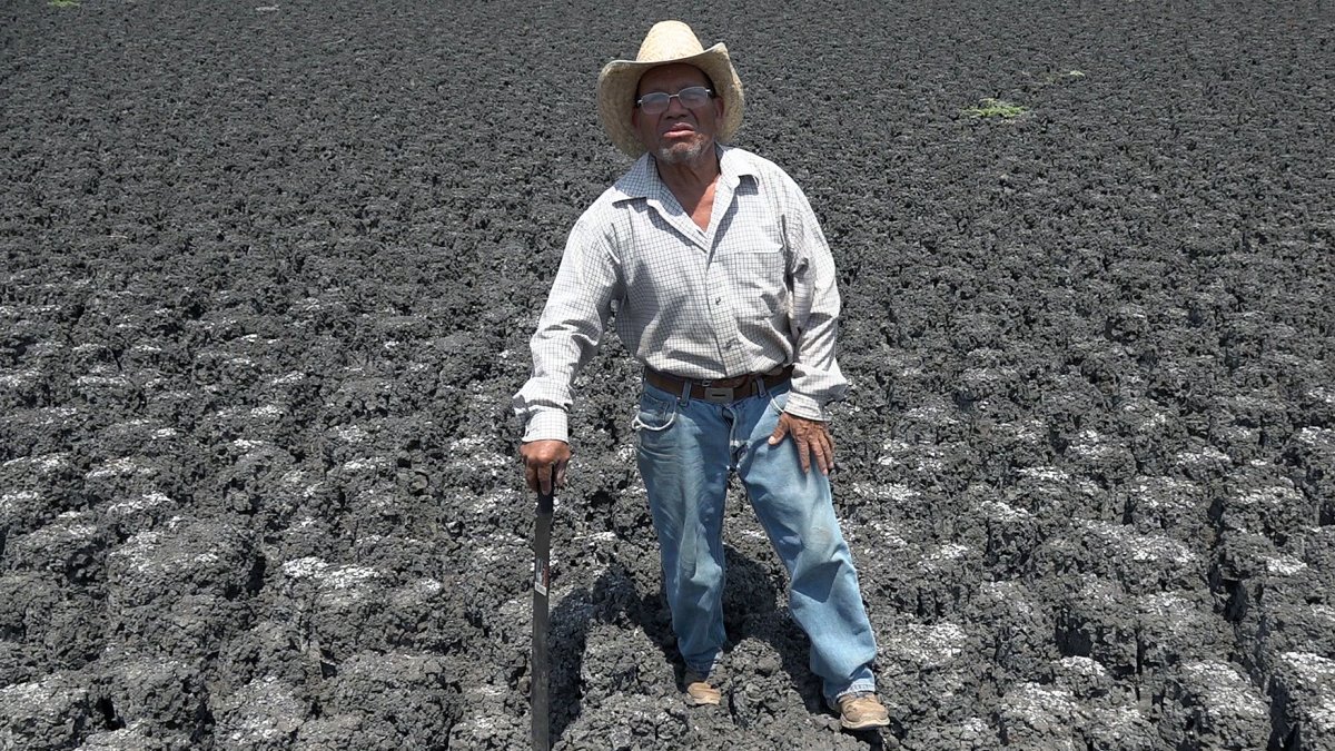 El campesino Ambrosio Rodríguez en el poblado San Matías Chilazoa, municipio Ejutla de Crespo, Oaxaca