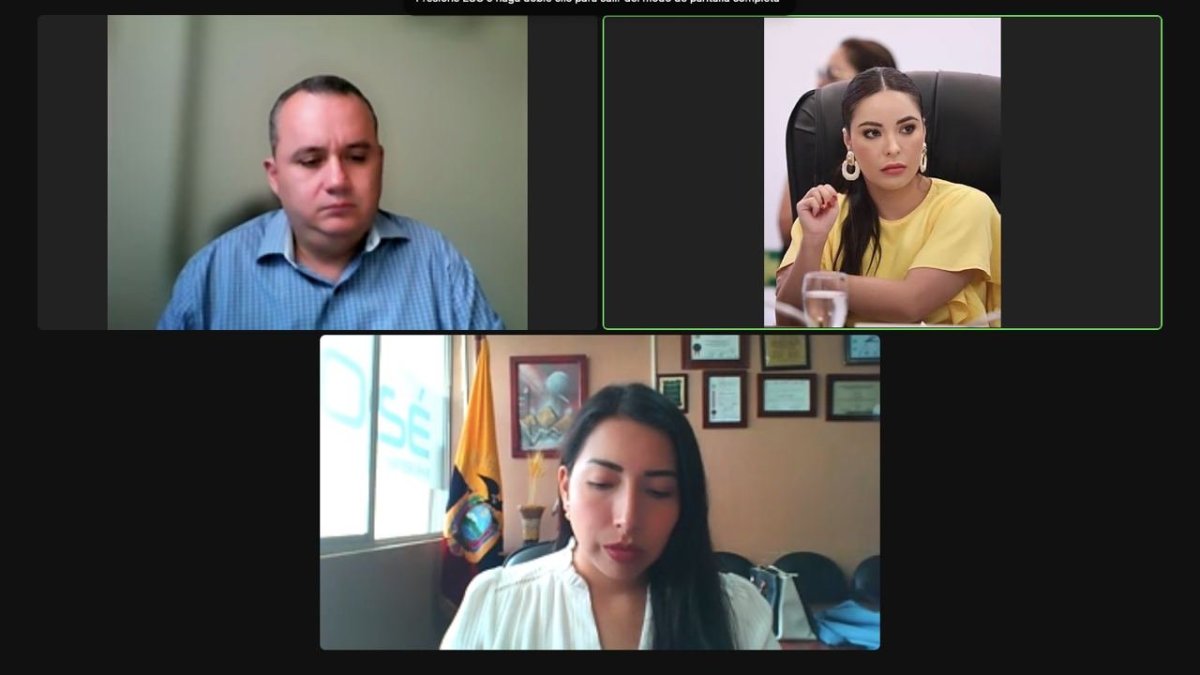 La Comisión de Fiscalización sesionó de forma virtual para escuchar la actuación de pruebas del proponente Carlos Vera Mora.