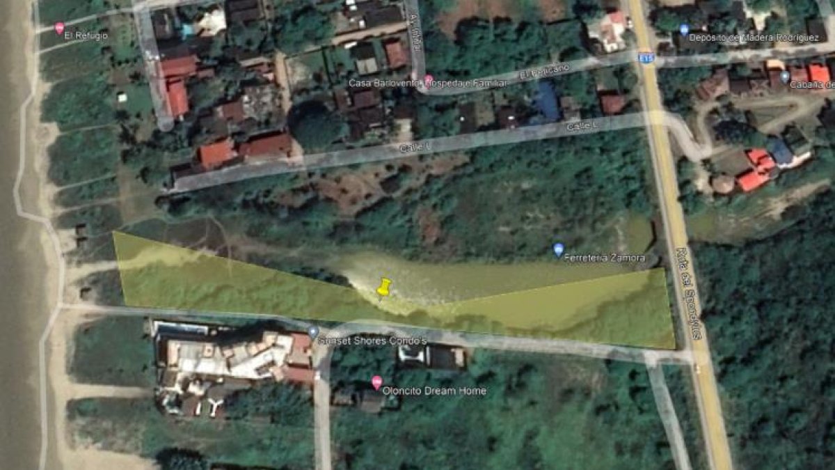 Estero. Imagen satelital del área protegida del estero Oloncillo, donde la empresa de la primera dama quiere construir un proyecto inmobiliario.