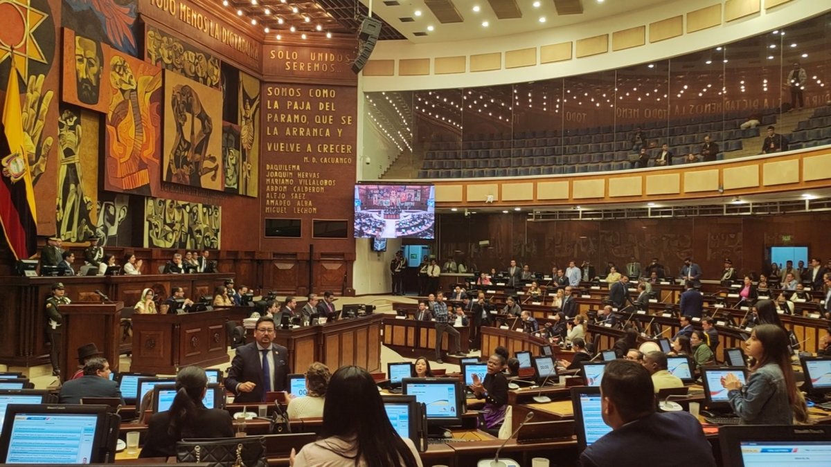 Leonardo Berrezueta fue el legislador que apeló la Presidencia pero el Pleno lo rechazó con 71 votos negativos.