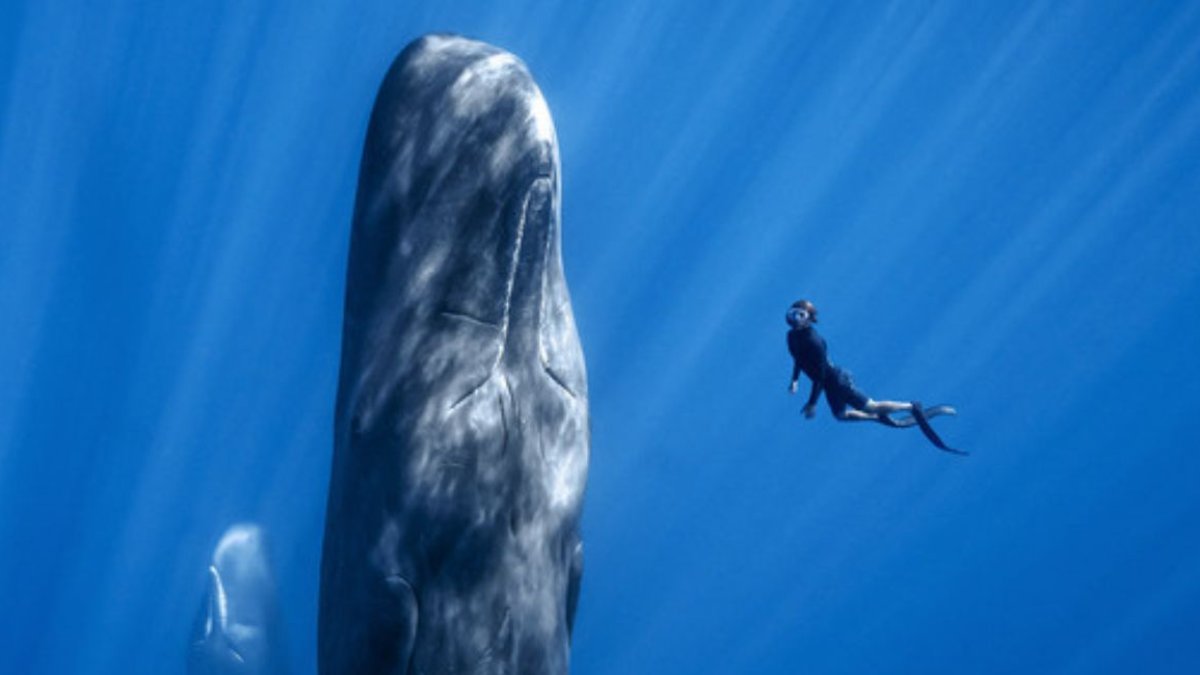 El encuentro reúne treinta películas de catorce países