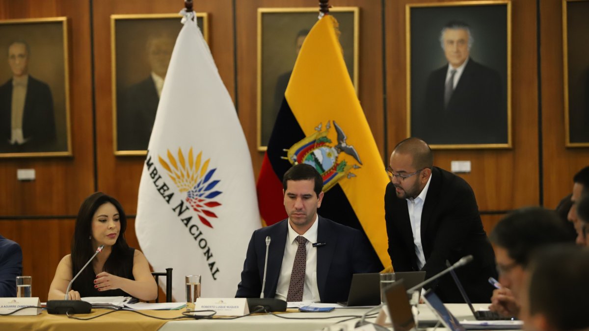 Comparecencia. Durante tres horas, el ministro encargado de Energía expuso los pormenores de la crisis eléctrica en la Asamblea Nacional.