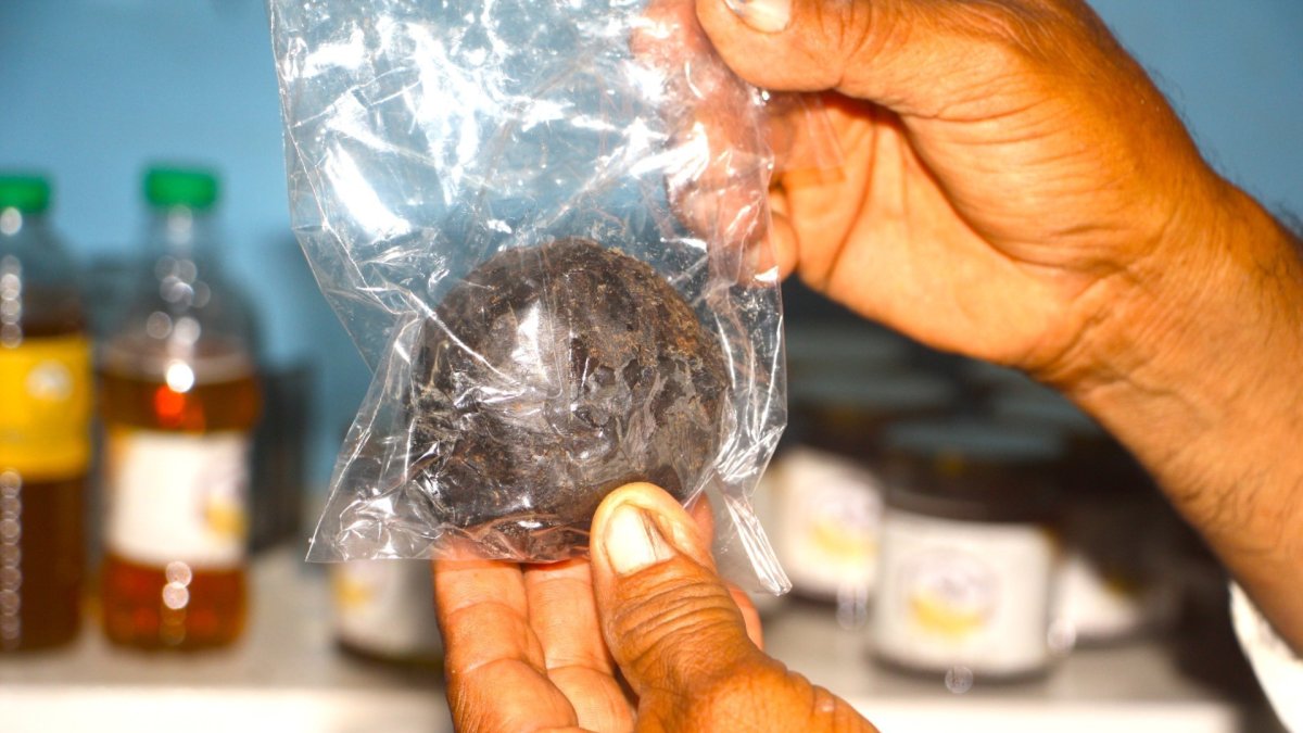 En San Marcos y poblaciones aledañas se obtiene este producto de manera preferente en las fincas cercanas a la cordillera.