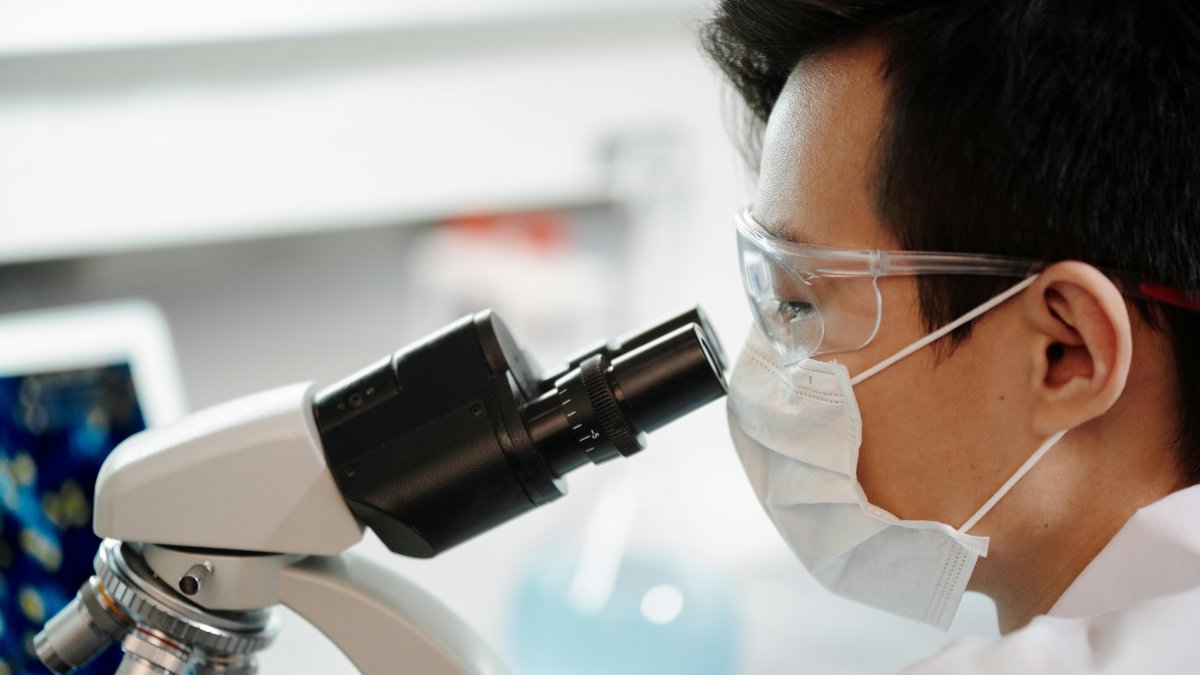 Bacteria E. Coli resistente a múltiples fármacos.