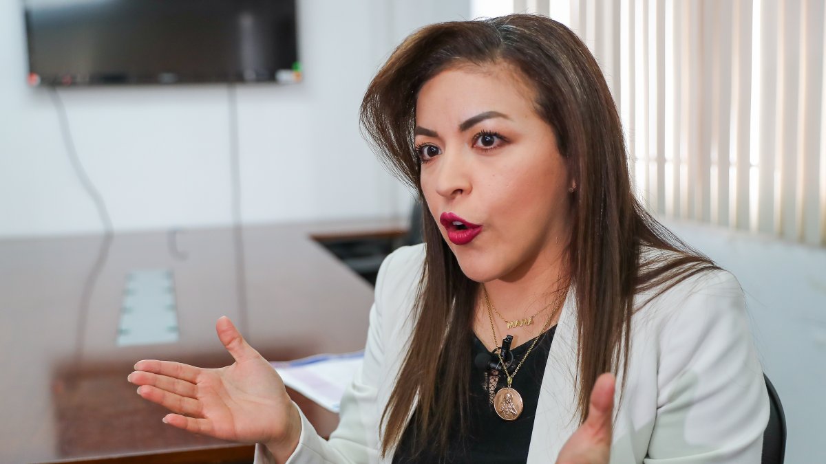 La directora ejecutiva del Instituto de la Democracia (IDD), Mónica Bolaños.