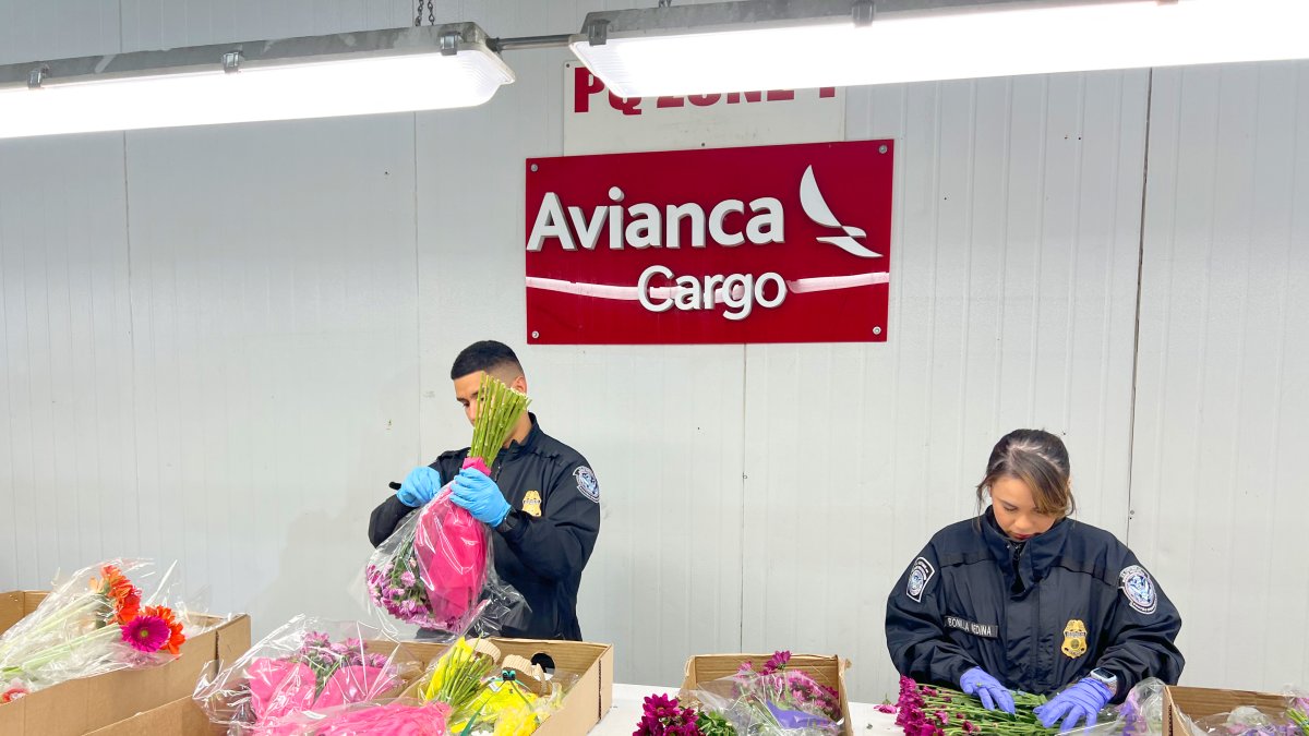 Transporte.- La exportación de las flores ecuatorianas.