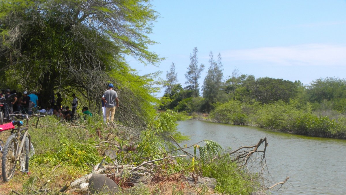 Estero. Rellenarlo, echar abajo el bosque protector y construir cuatro edificios encima tiene, según el Ministerio de Ambiente, 