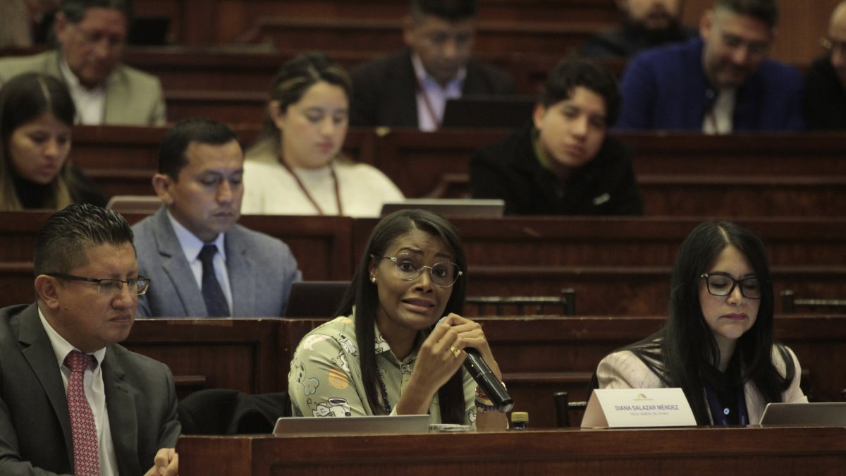 Archivo. La fiscal Diana Salazar durante una convocatoria de la Asamblea Nacional.