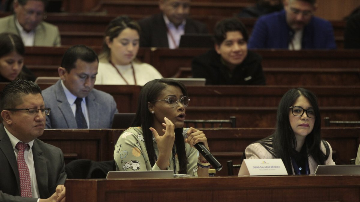 Diana Salazar comparece en la Comisión de Fiscalización de la Asamblea.