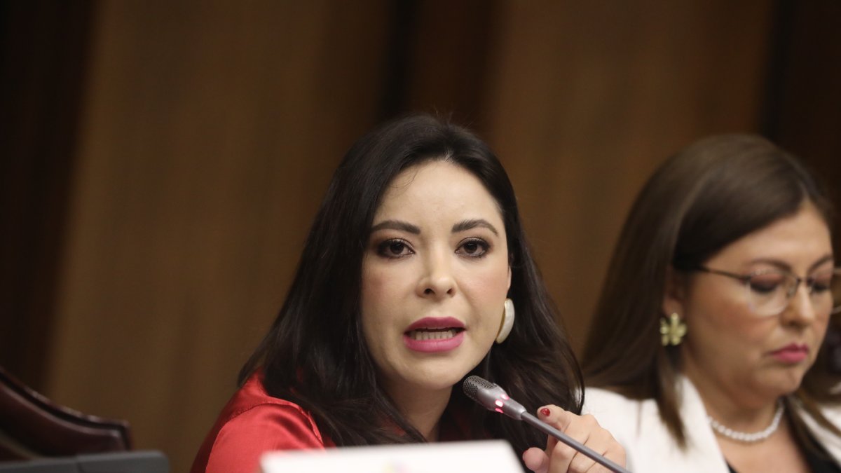 Salazar remitió un oficio dirigido a la presidenta de la Comisión de Fiscalización, Pamela Aguirre.