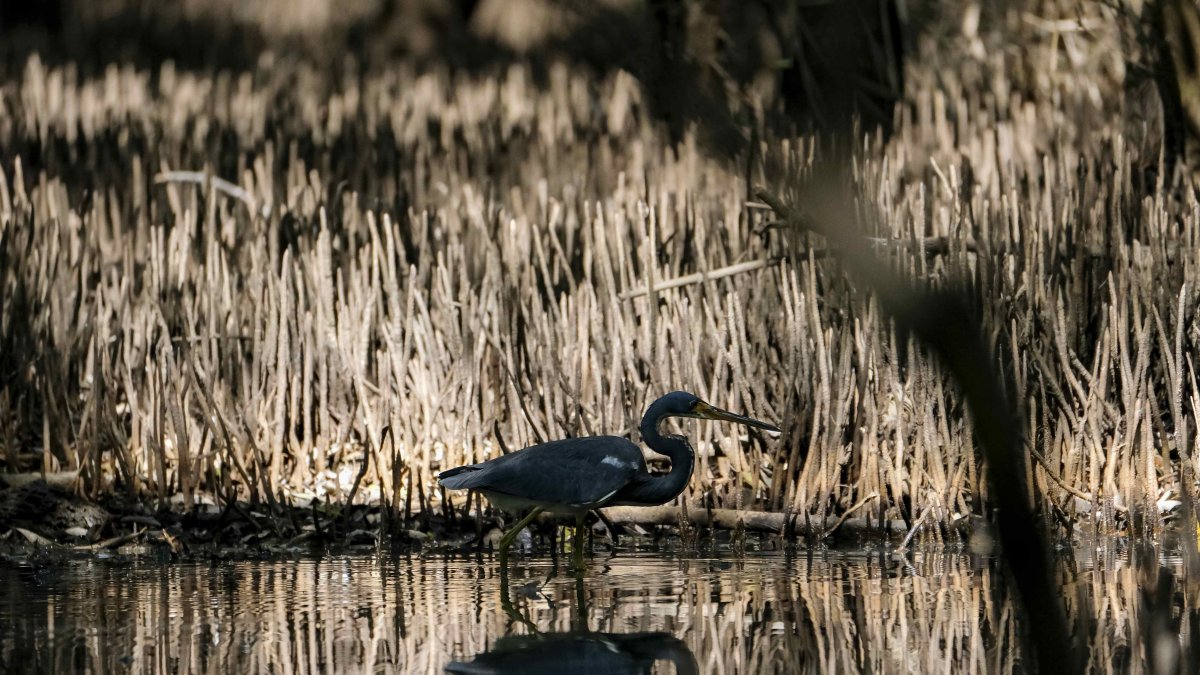 El estudio desarrolla una nueva formulación de coeficiente de arrastre