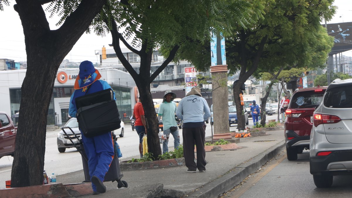 Ingresos. Existen trabajadores que, pese a gozar de algún tipo de contratos, ganan hasta $ 84 por mes.