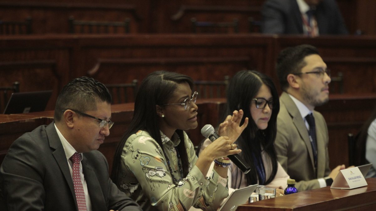 La correísta Pamela Aguirre pretendía que Ronny Aleaga hable en pesencia de la fiscal Diana Salazar.