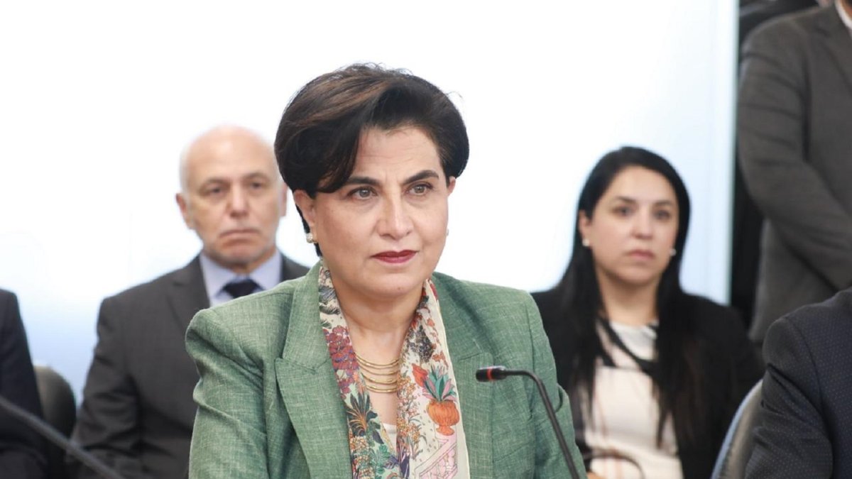 La Cancillería, presidida por Gabriela Sommerfeld, informó sobre los lugares donde los ecuatorianos podrán recibir atención consular en México.
