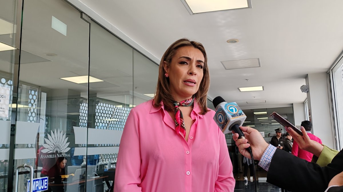 La legisladora espera que Construye se sume a la postura de las demás bancadas de conformar una comisión multipartidista.