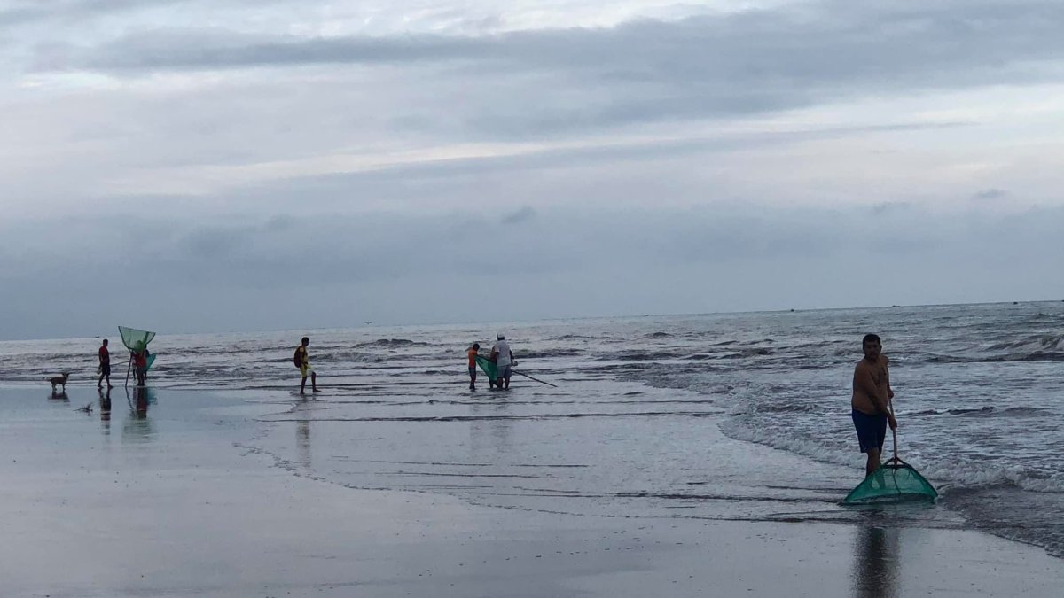 En las costas de Esmeraldas, un fenómeno natural se repite de marzoa junio, marcando el compás de la vida y la cultura local, la captura de chautiza