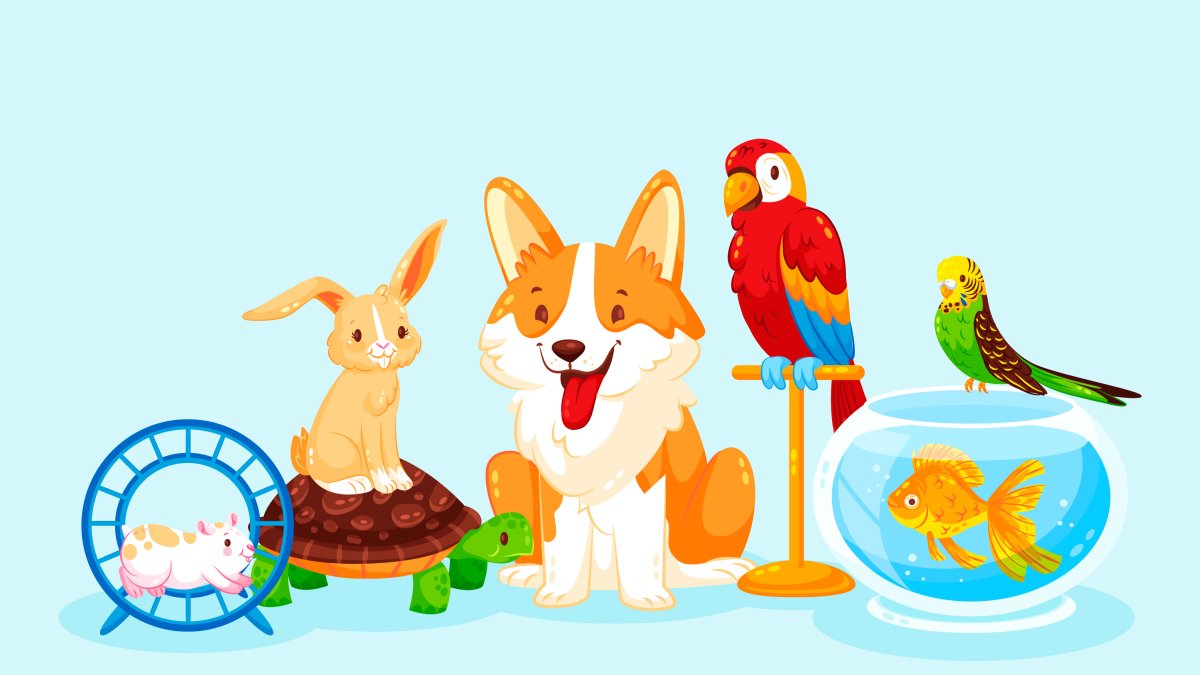 ¿Qué mascota va bien con tu personalidad?