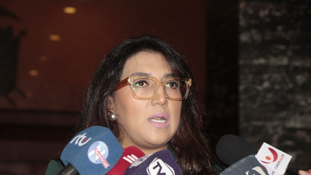 La proponente del juicio político a la fiscal aseguró que las etapas de este proceso se han agotado sin problemas.