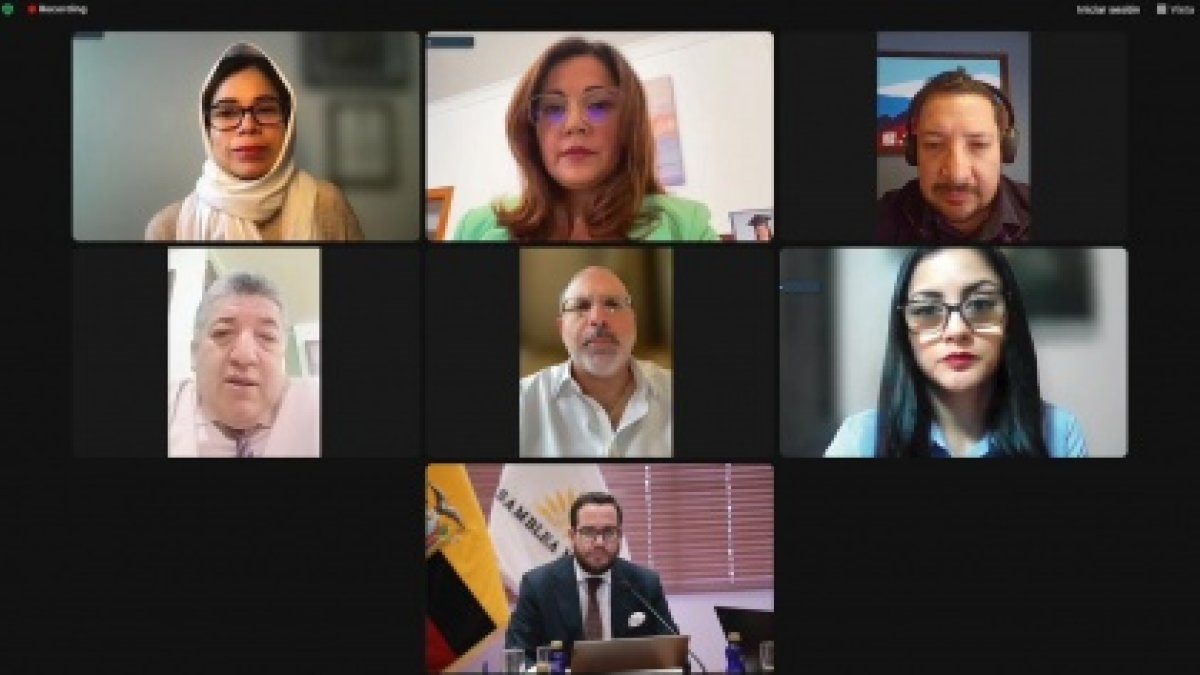 Sesión. La reunión se dio de forma telemática y se tramitará cuerpos legales dados entre abril y mayo