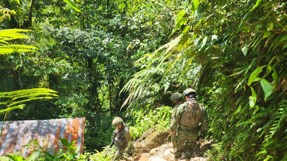 Las Fuerzas Armadas realizó operativos en la provincia de Carchi.