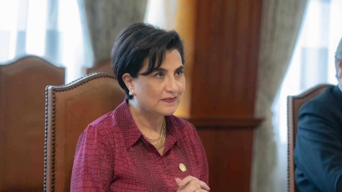 La ministra de Relaciones Exteriores Gabriela Sommerfeld ha tratado la situación de Ecuadorr en diferentes organismos internacionales.