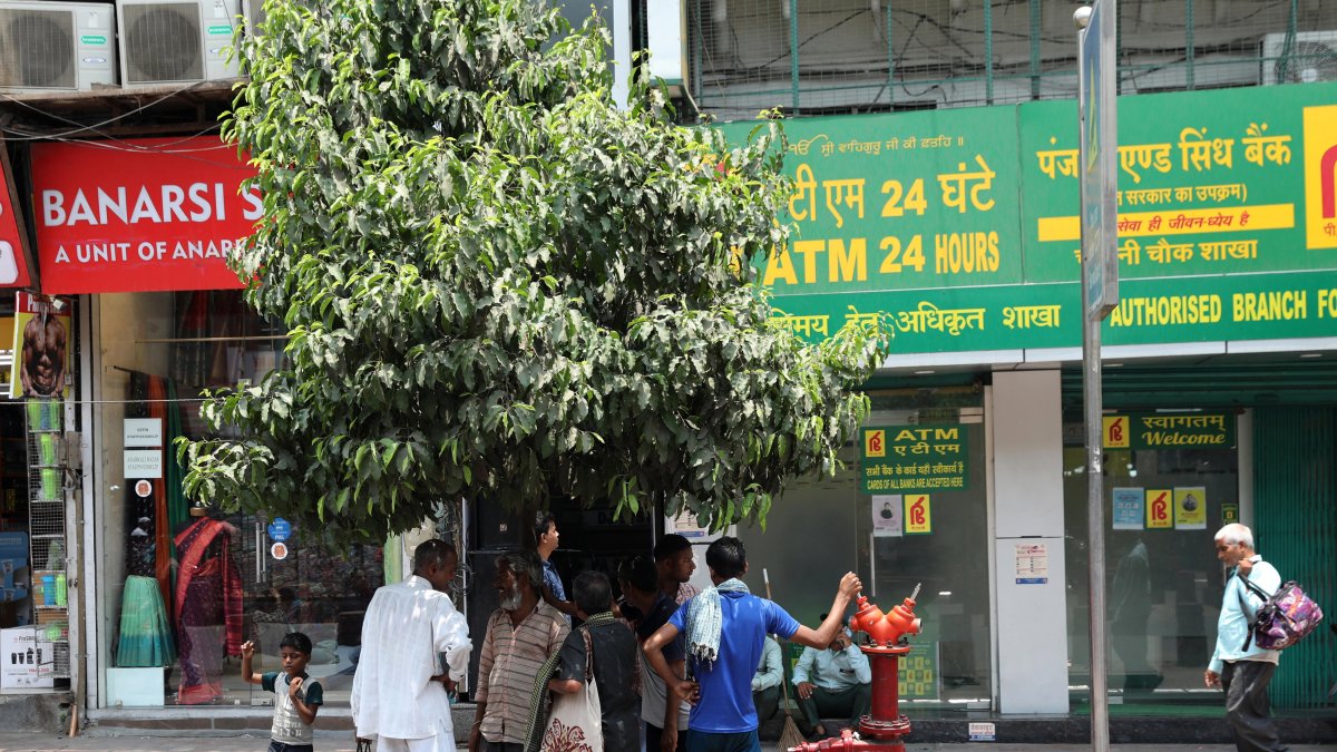 Un grupo personas se paran bajo la sombra de un árbol para evitar la ola de calor en el casco antiguo de Delhi, India, el 22 de mayo de 2024.