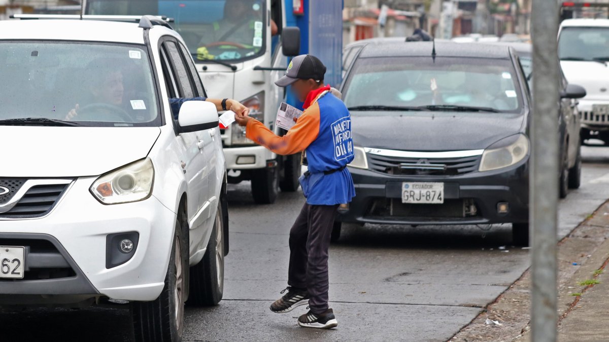 El nuevo periodo lectivo 2024-2025 en la Costa también tiene menos estudiantes matriculados que el anterior.