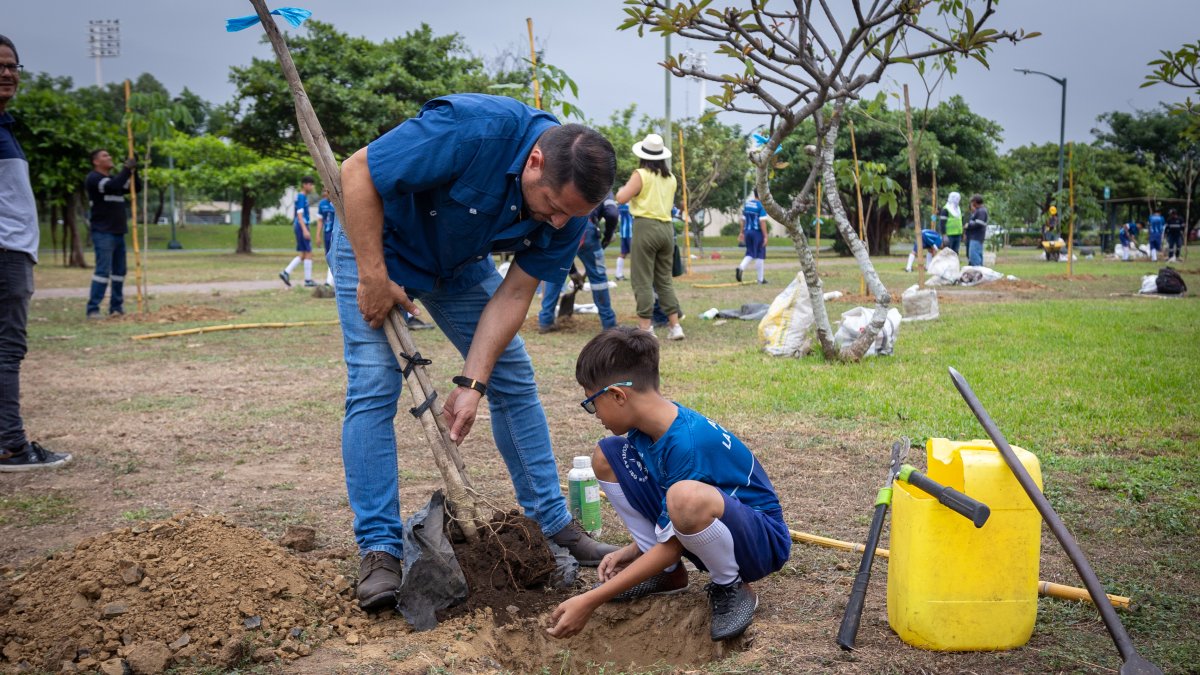 En el Parque Samanes se sembraron 40 árboles el pasado 22 de mayo.