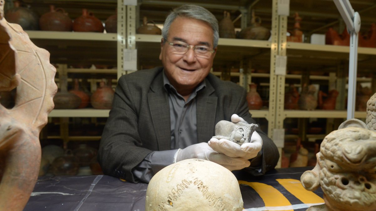 Los cráneos, también, llamaban la atención por sus diferentes tratamientos con medicina natural