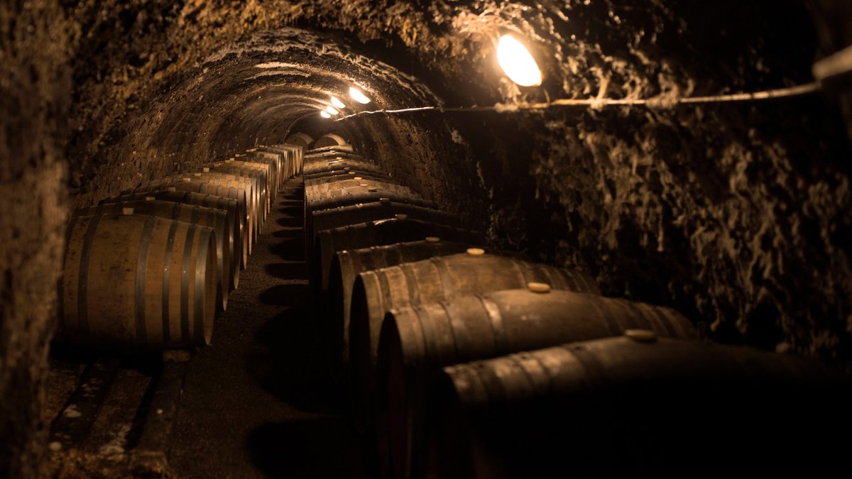 Cava.- Una de las bodegas donde se elaboran uno de los mejores y más caros vinos del mundo.