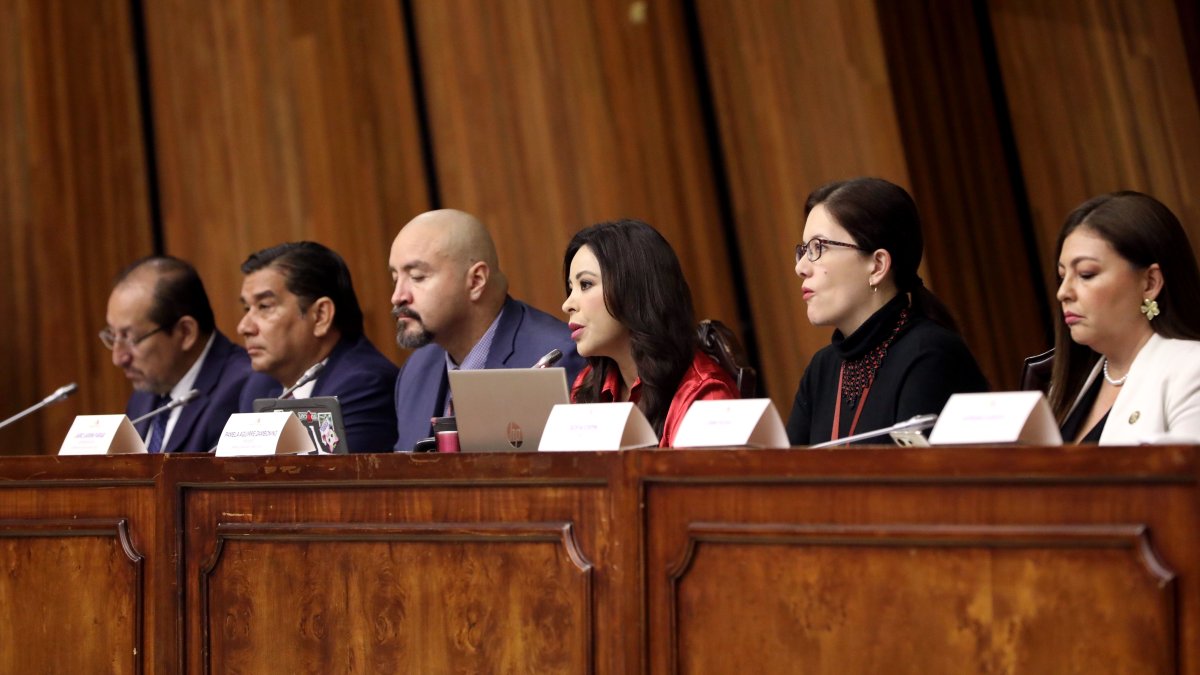Comparecencia. En la sesión del 13 de mayo, Aguirre autorizó recibir a Aleaga de forma virtual.
