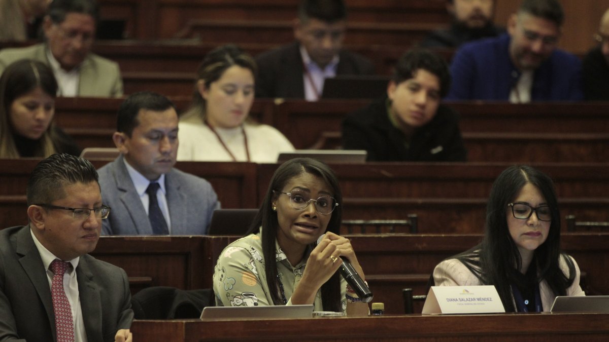 La fiscal general del Estado, Diana Salazar, durante su comparecencia en la Asamblea Nacional, semanas atrás.