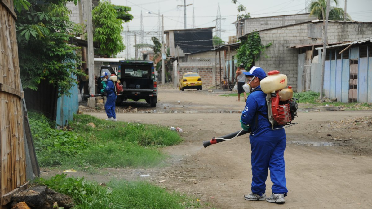 Cuadrillas municipales de fumigación en barrios de Guayaquil en una pasada campaña de prevención.