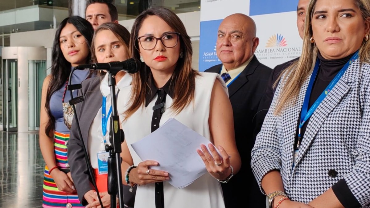 Legisladora de Construye señaló que si se comprueba el supuesto mal uso del carnet podría haber un juicio político contra Fantoni.