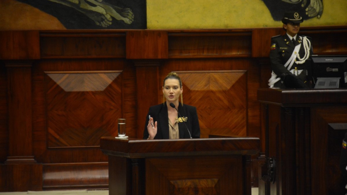 Fritschi mostró mejor desenvolvimiento, pero no convenció a los legisladores, esperaban información sobre la celeridad en la entrega de permisos a la empresa vinculada a Lavinia Valbonesi.