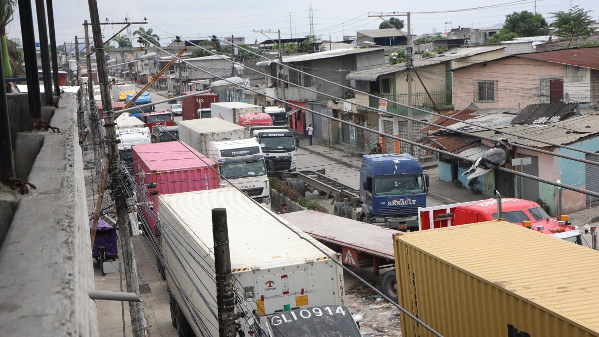 Trinitaria. Las largas filas que se forman para ingresar a TPG o a Naportec en ciertos días de la semana.