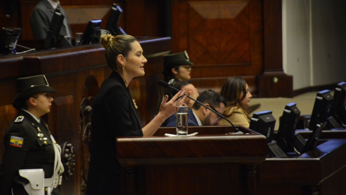 Comparecencia. Sade Fritschi acudió ante el Pleno, leyó con dificultad un texto que parecía entender a medias, dijo ser víctima de la violencia y se fue.