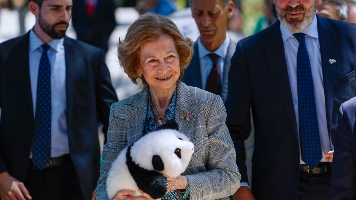 La reina Sofía asistió al recibimiento de los osos panda Jin Xi (macho) y Zhu Yu (hembra) en el zoológico de Madrid.